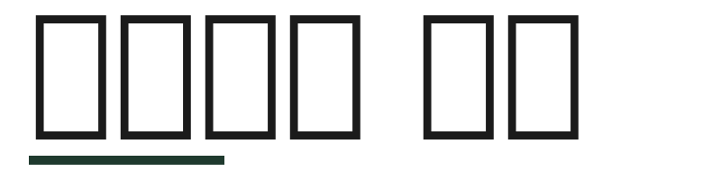 스튜디오 서울 logo
